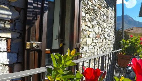 IRIS 1 lago di Como - Foto 4