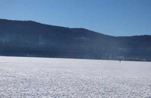 Ferienwohnung Seeblick Nr 1 ,Feldberg Bärental - Foto 3