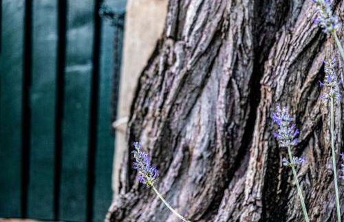 CASENUOVE II - Casale con parco e piscina - Foto 21