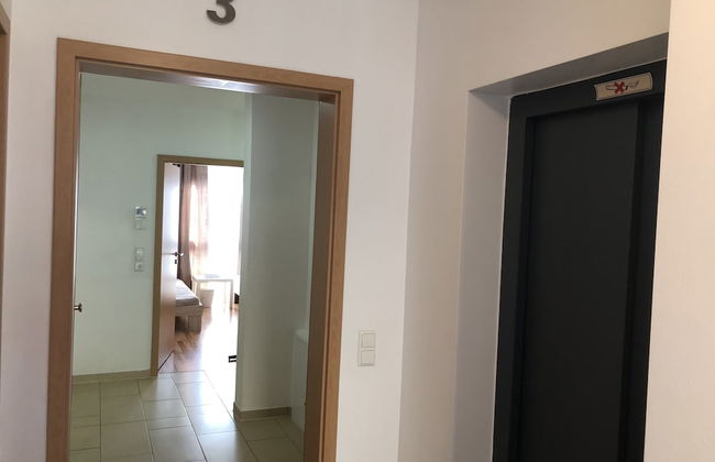 Sahara Falcon - Foto 68