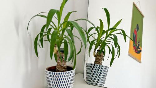 Le Verdun - Spacieux & Balcon - Coeur de Rennes - Foto 5