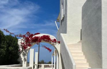 The Black Pig Studios - Photo 8