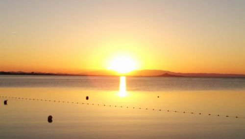 El Vivero del Mar Menor - Foto 4