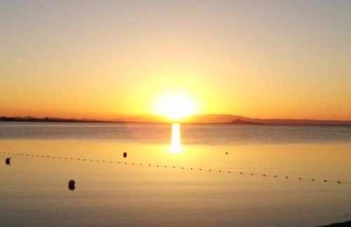 El Vivero del Mar Menor - Foto 4