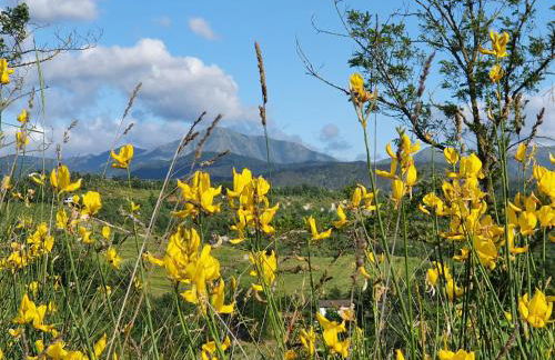 Agriturismo Il Burlino Apartments - Foto 28