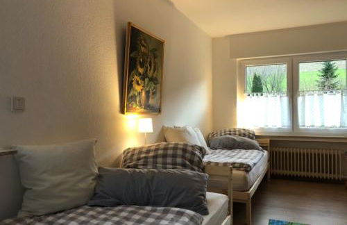 Ferienwohnung Päusken mit Rosengarten im Hochsauerland - Foto 8