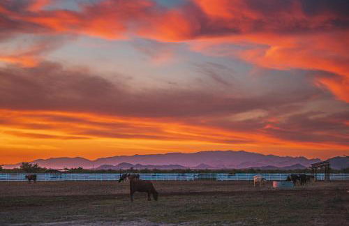 Nude Glamping Dome - Foto 25