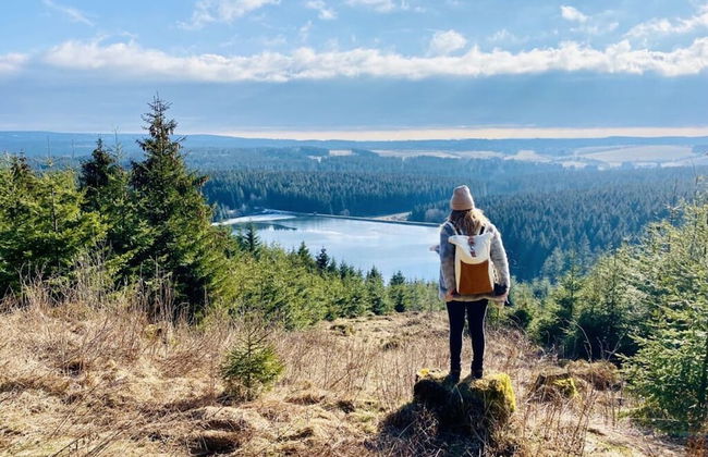 Panoramic View of Lake Harz - Photo 17