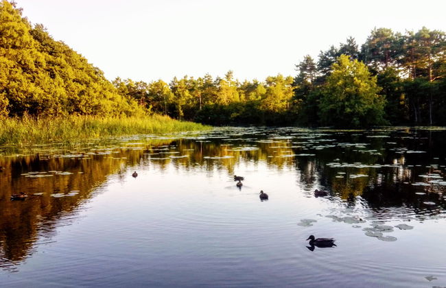 3 bedroom House in Choczewo with garden and terrace - Photo 1