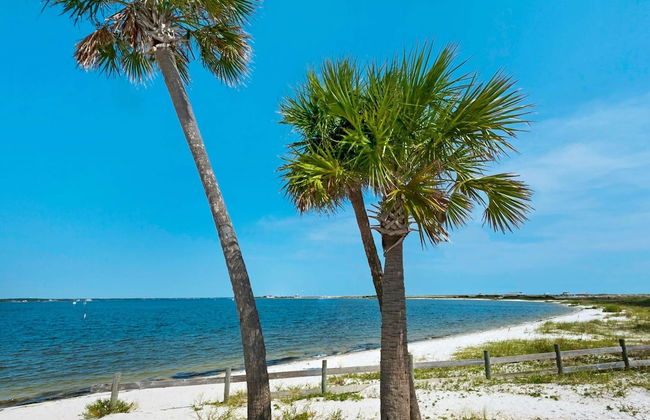 The Pearl 404 - Foto 67