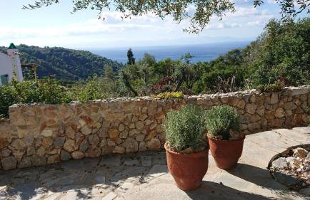 Olive Tree House - Foto 1