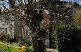 Historic, traditional & Spacious Wiltshire Cottage - Foto 46