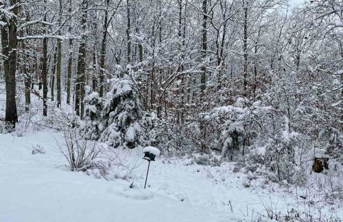 Wind Ridge Cabin - Foto 16