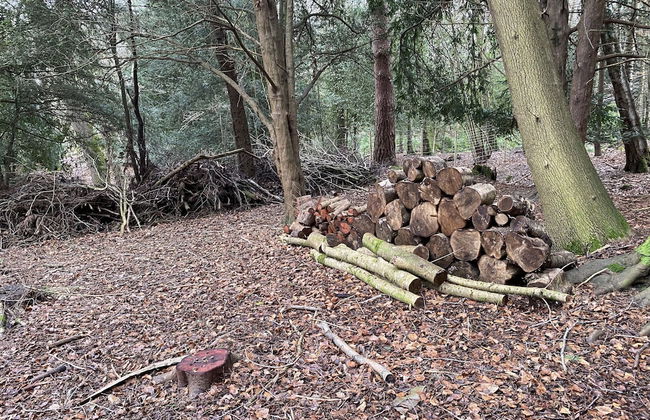 Private and Secluded Cabin in Rowfant - Foto 14