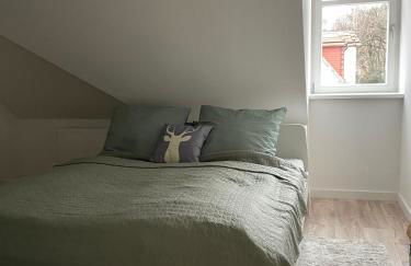 Apartment ELBHIRSCH im beliebten Villenviertel Weißer Hirsch - Foto 7