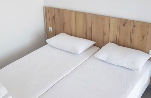 Aristotelia Gi - Panorama - Photo 16