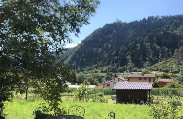 Casa Gugjet Cuore Carnico - Appartamento Tamai -giardino - senza scale - parcheggio privato - 4 zampe gratis - Foto 2