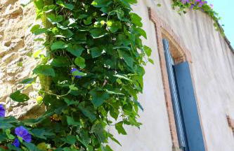 La Cité Secrète - Photo 64