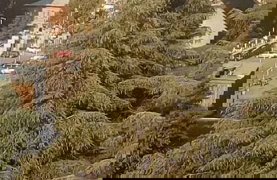 Apartments in front of the Park - Foto 16