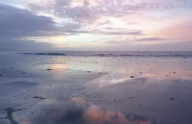 Belle maison rénovée, 650m de la plage, grand jardin, classée meublé de tourisme 3 étoiles - Photo 57