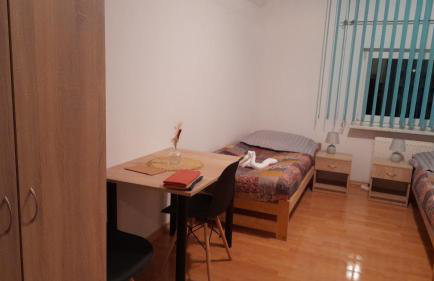 Agro-szyszynka - Foto 12