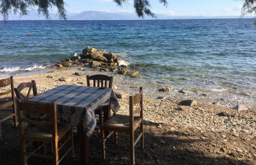 Eratous Seaside House - Foto 30