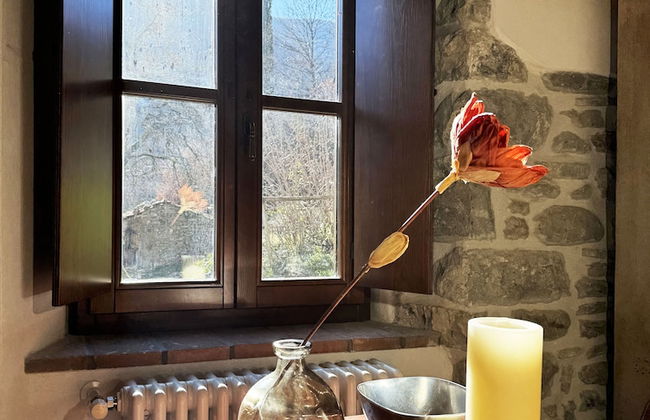 Bio Agriturismo il Vigno - Foto 35