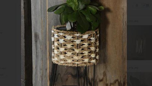 Pine Song Retreat - Foto 2