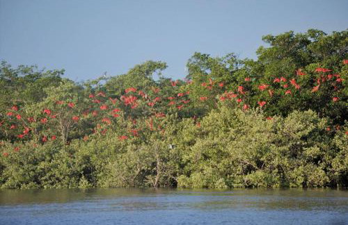 STUDIO Mar azul 1206 - Foto 56