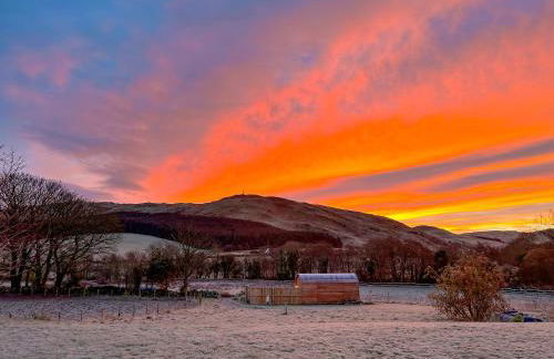 Bracken - Uk34842 - Photo 16