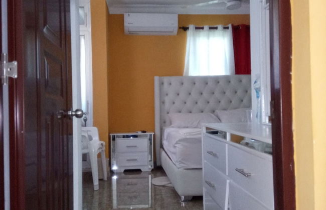 Estudio Vegano - Foto 3