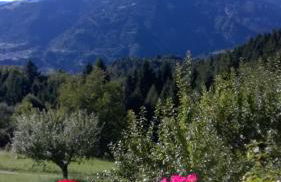 Baita Agaz - Foto 29