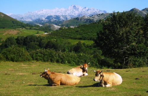 Aptos. Rurales Los Falares de la Abuela Berta (Adults Only) - Foto 40