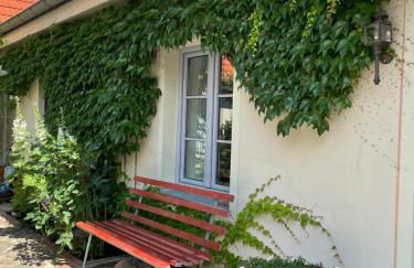 FEWO im Kneipenviertel Altkötzschenbroda - Foto 2