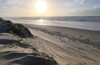 Le cottage sauvage - Foto 19