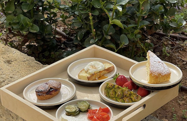 I Tre Bacili - Foto 51