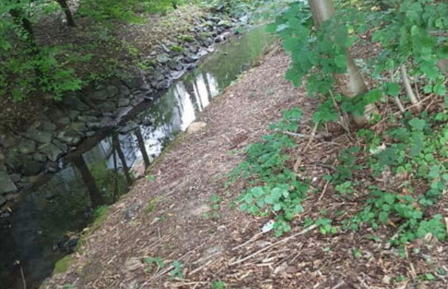 Holiday Home in the Rosbachtal - Foto 32