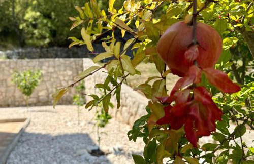 Stone House Sea View Vista Natura Private Garden Quiet Location - Photo 31