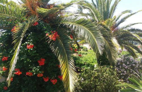 Alexandra Spingou Apartments - Foto 3