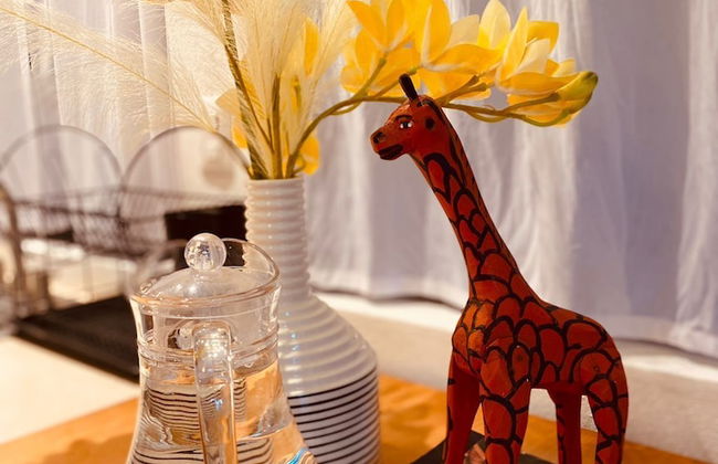 San Marcos Properties - Foto 50