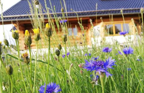 4 Sterne Ferienwohnung Stammzeit - Photo 17