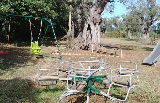 La Piana degli Ulivi - Foto 21