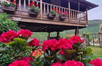 Apartamentos Rurales El Bosque de las Viñas - Photo 43