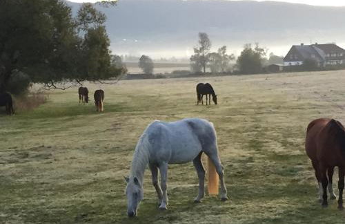 LICHTECK - Helle Ferien - Foto 77