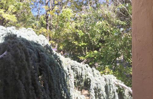 Serene Private Suite Patio Upscale Berkeley - Foto 41