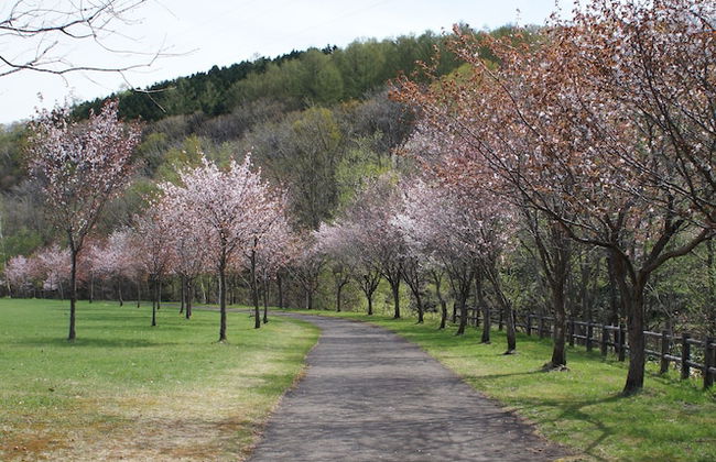 Kashiwa House Furano - Foto 62