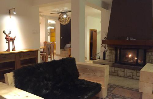 Willa Brzozówka - Photo 1