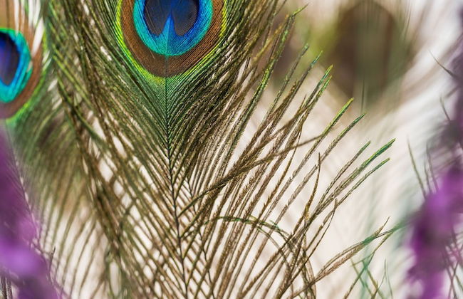 Cataleya Villa Chania - Photo 14