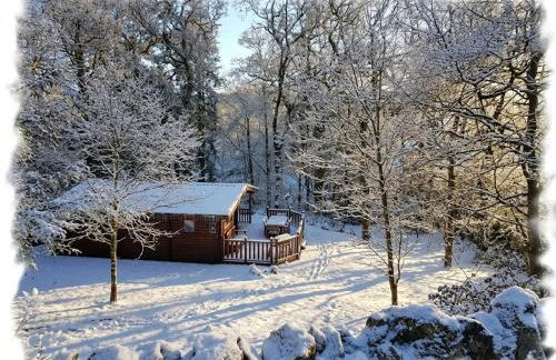 Blelham Tarn Rustic cabin in tranquil woodland - Foto 40