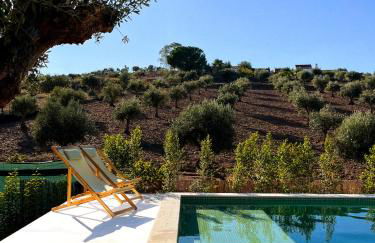 Casa da Loba - Foto 6